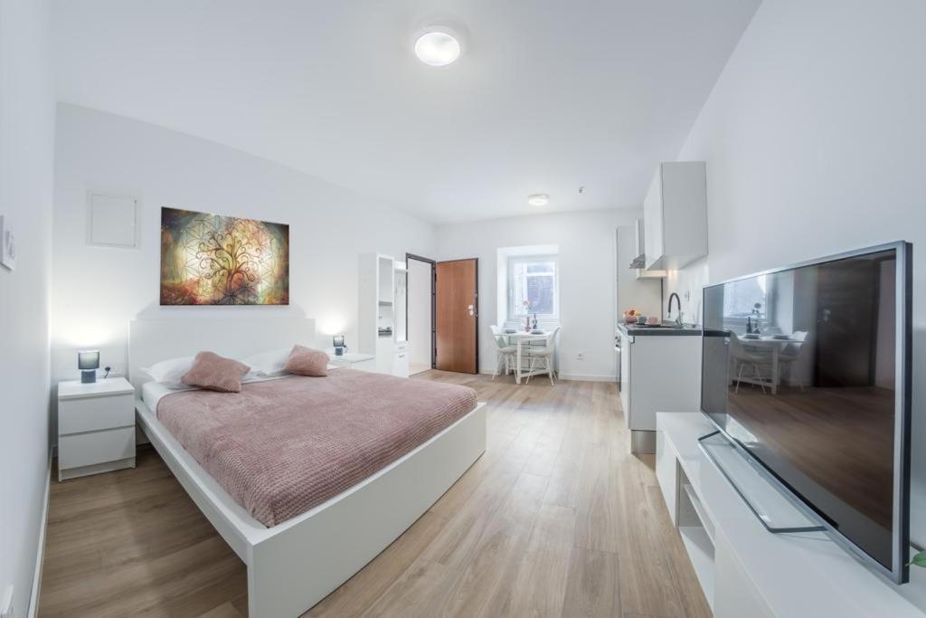 Apartment Klara FREE parking, center Pula Bagian luar foto